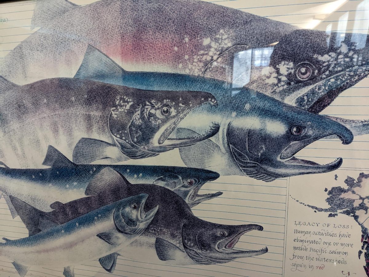 A poster featuring salmon at the Bonneville Dam visitor center. 